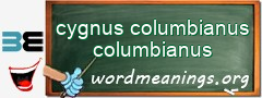 WordMeaning blackboard for cygnus columbianus columbianus